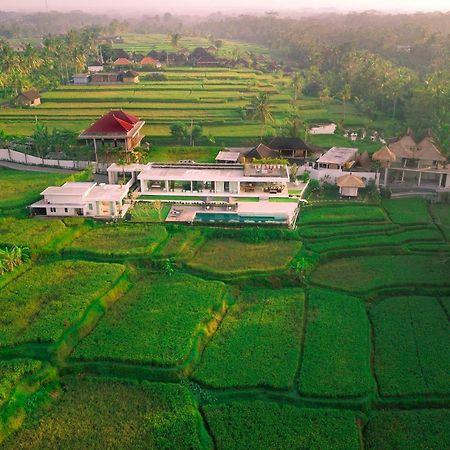 Villa Harta Ubud المظهر الخارجي الصورة