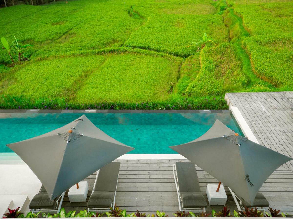 Villa Harta Ubud المظهر الخارجي الصورة